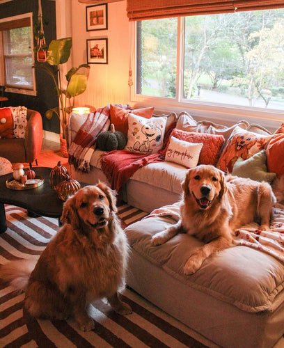 How to Pair Modern Rugs with Contemporary Furniture