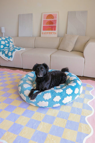 Top 5 Benefits of Irregular Rugs in Modern Homes