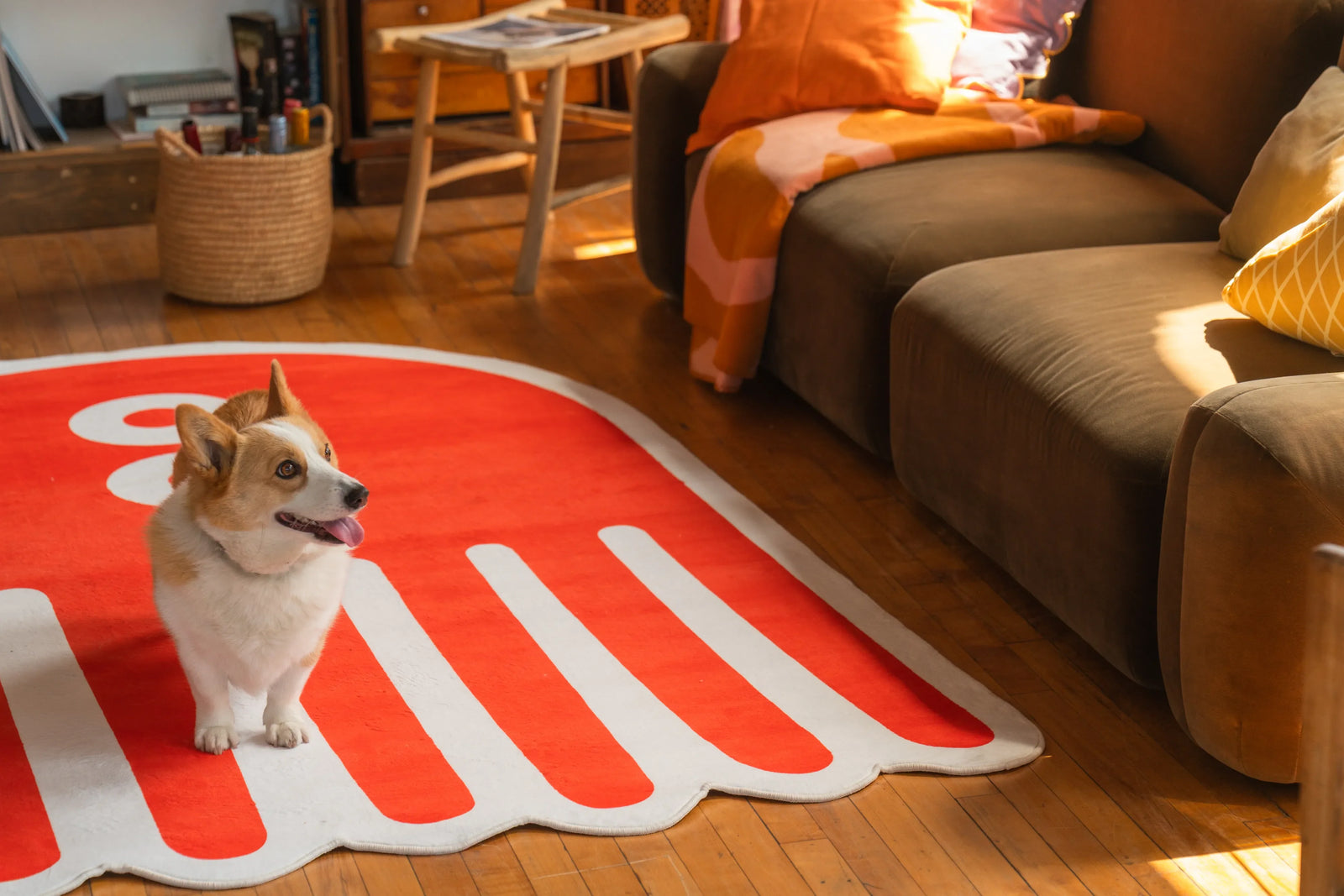 Stylish Pet Friendly Rugs: OEKO-TEX Certified Picks for Pets