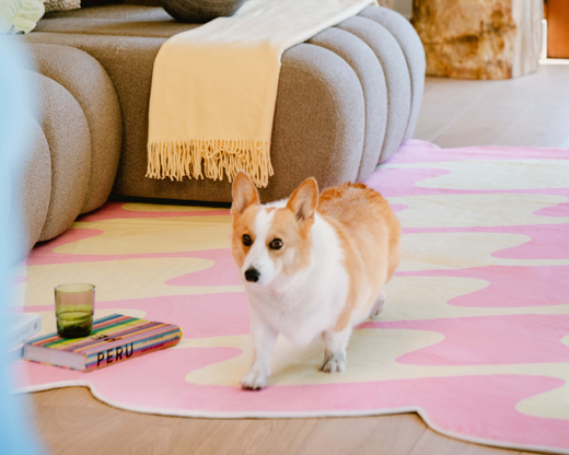 How to Invest in a Designer Rug that Suits Your Space