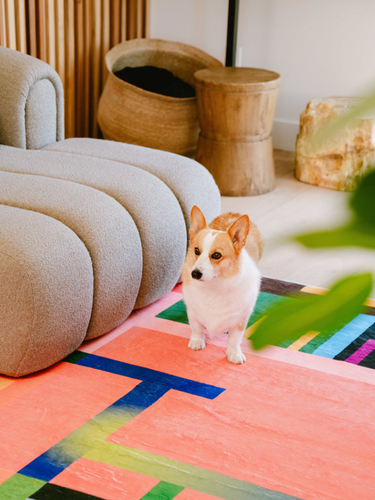 How Modern Rugs Can Transform Any Room in Your Home