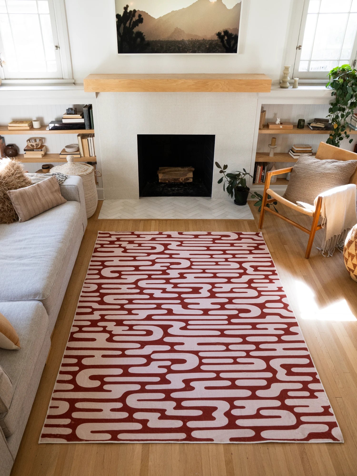 Brown Rug Collection – Lany Space