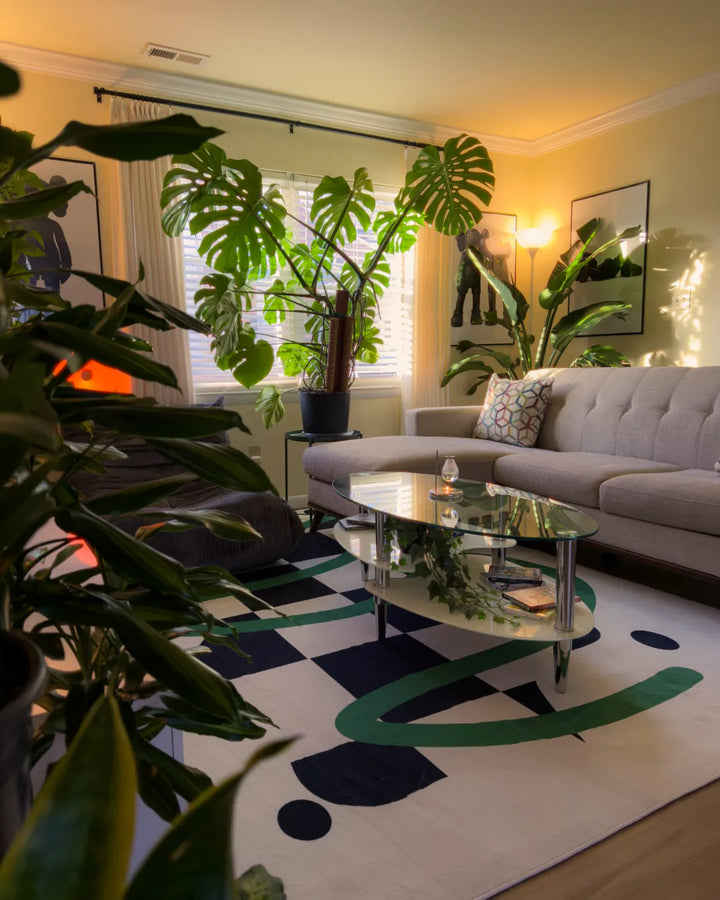 Black and White Checkered Rug laid on wood floor beneath a glass table, surrounded by soft seating and large leafy plants.