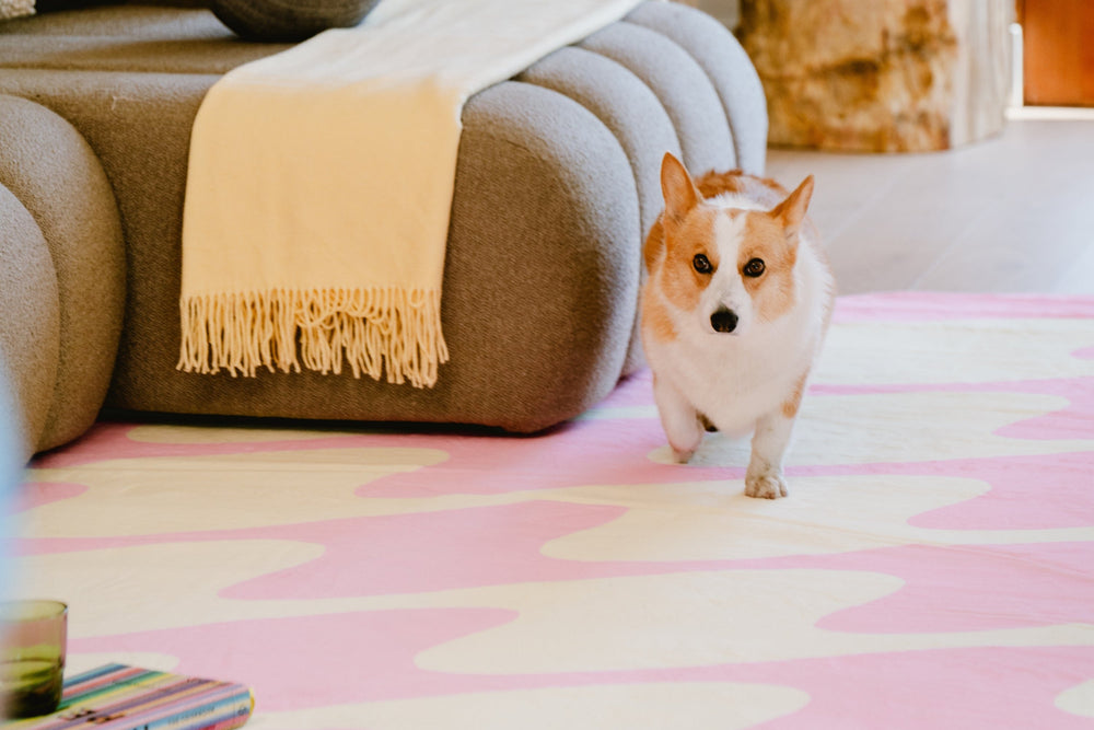 Lany Space Pet-Friendly Rugs Banner